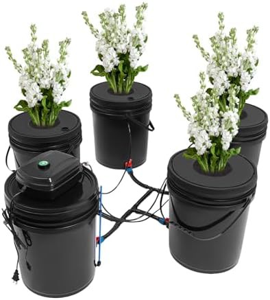 Five bucket deep water culture system — photo 3