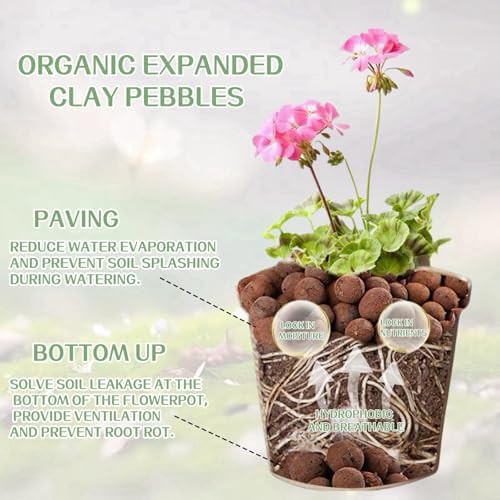Natural organic clay pebbles two pound bag — photo 3