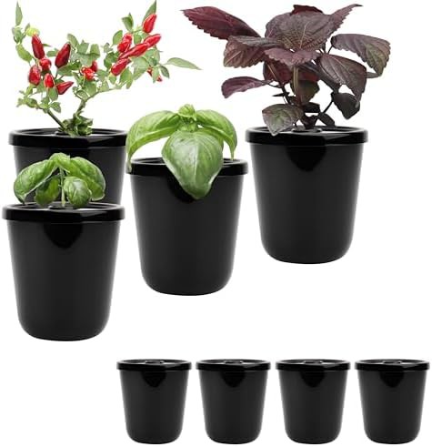 Black Kratky method herb planter kit