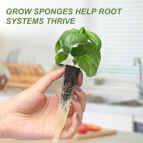 Black Kratky method herb planter kit — photo 4