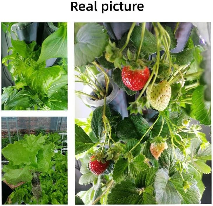 Vertical aeroponic tower with 50 plant holes — photo 5