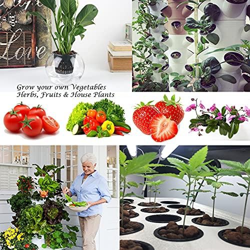 Three inch Kratky nursery cups fifty pack — photo 5
