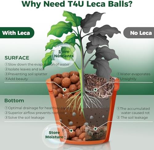 LECA clay pebbles for indoor plants — photo 4