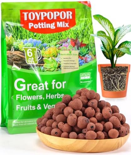 TOYPOPOR