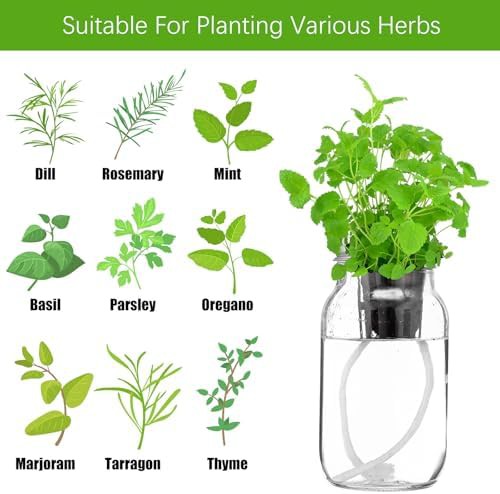 Six pack mason jar hydroponic planter — photo 4