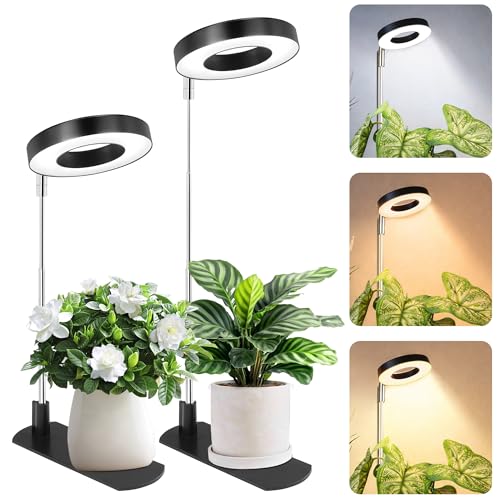 Grow Lights for Indoor Plants