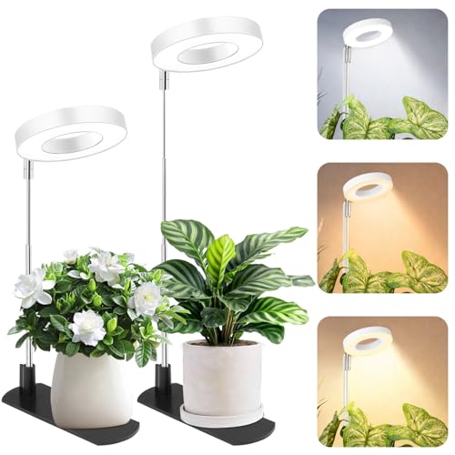 Grow Light for Indoor Plants