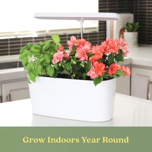 LED Herb Planter with Gaia Green Fertilizer — photo 3