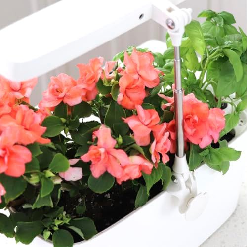 LED Herb Planter with Gaia Green Fertilizer — photo 5