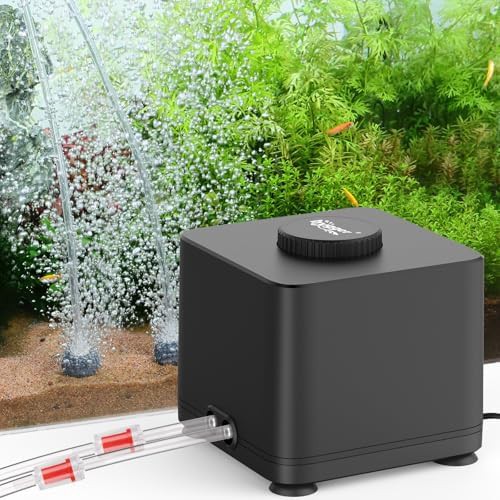 Dual outlet adjustable oxygen air pump