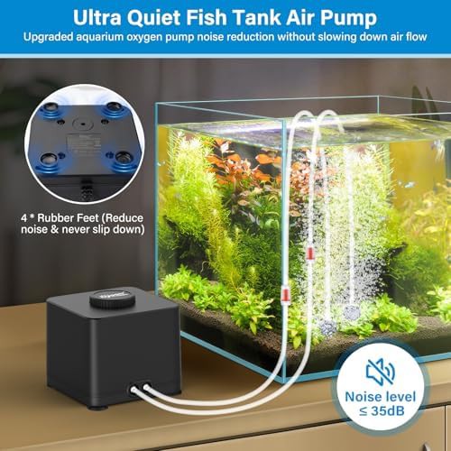 Dual outlet adjustable oxygen air pump — photo 3