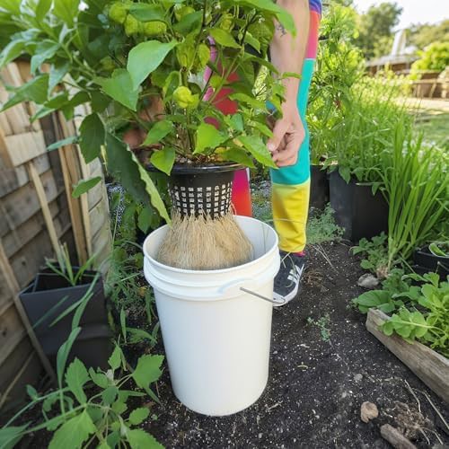 Six inch net pots with lids — photo 5