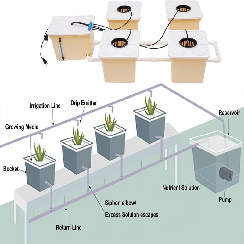 Five bucket recirculating DWC system — photo 4