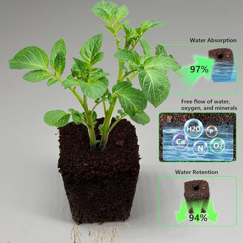 Hydroponic grow sponges and baskets kit — photo 4