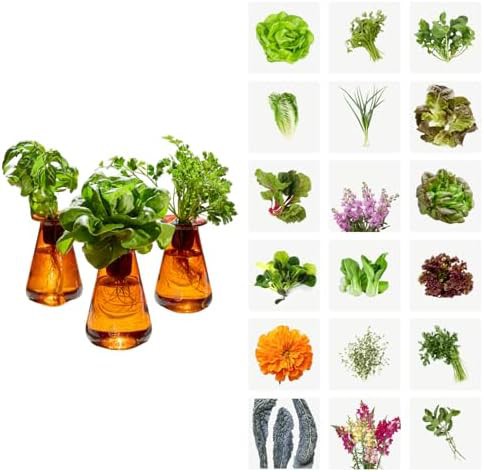 Soilless counterstand herb garden kit