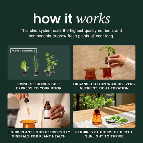 Soilless counterstand herb garden kit — photo 3