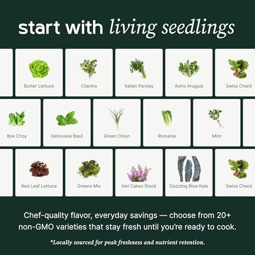 Soilless counterstand herb garden kit — photo 4