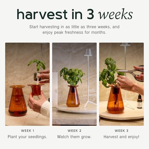Soilless counterstand herb garden kit — photo 5