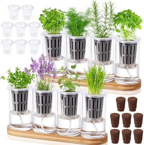 Eight piece glass herb planter with stand