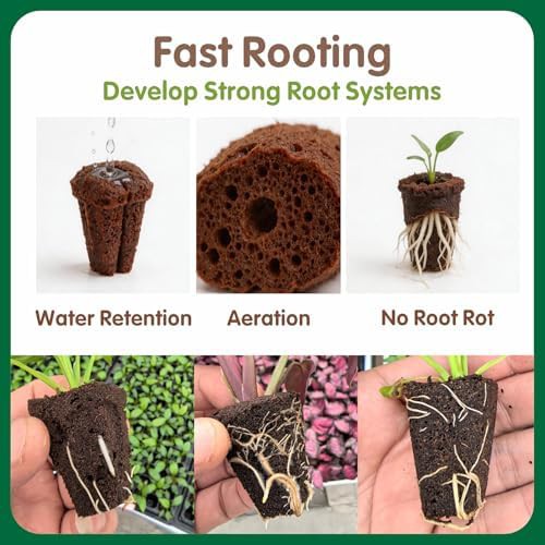 Seed starter plugs and grow sponges — photo 3
