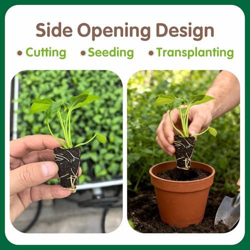 Seed starter plugs and grow sponges — photo 4