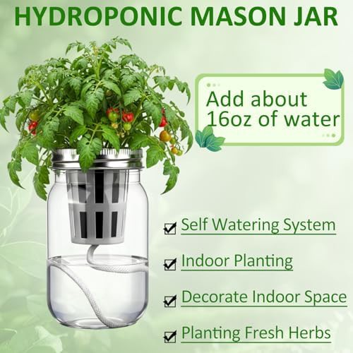 Twelve pack mason jar herb garden kit — photo 3
