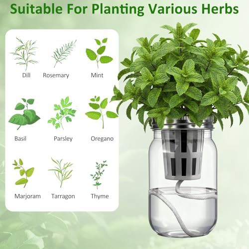 Twelve pack mason jar herb garden kit — photo 4