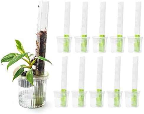 Small clear growlid moss pole ten pack