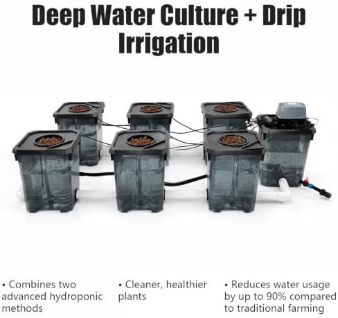 Deep water culture seven bucket system — photo 4