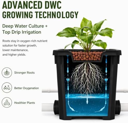Six bucket recirculating deep water culture — photo 3