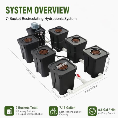 Six bucket recirculating deep water culture — photo 4