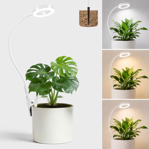 Grow Lights for Indoor Plants