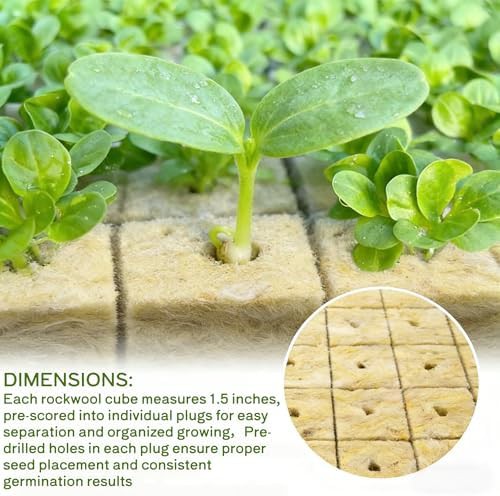 Rockwool cubes for hydroponic seed starting — photo 4