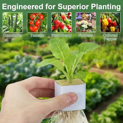 Rockwool planting cubes 1.5 in size — photo 5