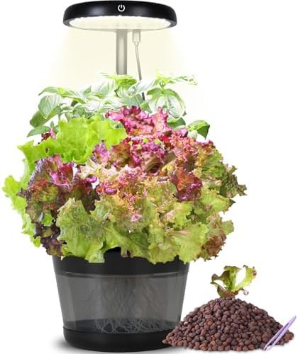 Translucent herb garden with clay pebbles