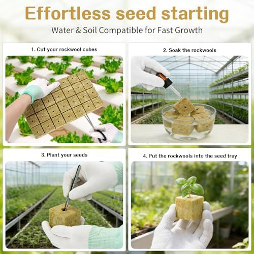 Rockwool grow media plugs for propagation — photo 5