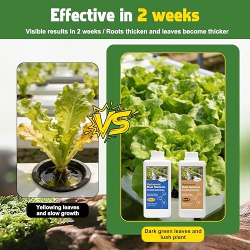 Hydroponic nutrients base A and B — photo 5