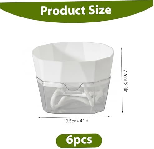 Self watering pots for brazilian wood plants — photo 2