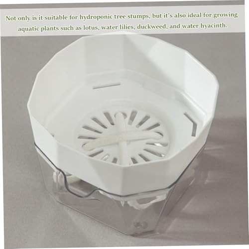 Self watering pots for brazilian wood plants — photo 3