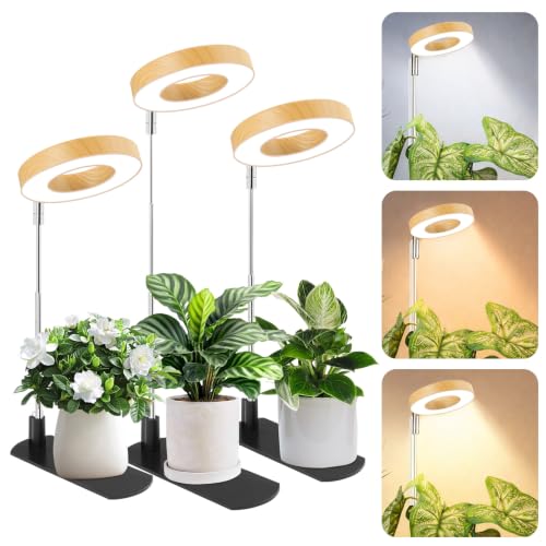 Grow Lights for Indoor Plants