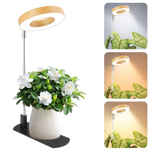 Grow Lights for Indoor Plants