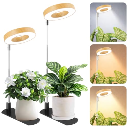 Grow Lights for Indoor Plants