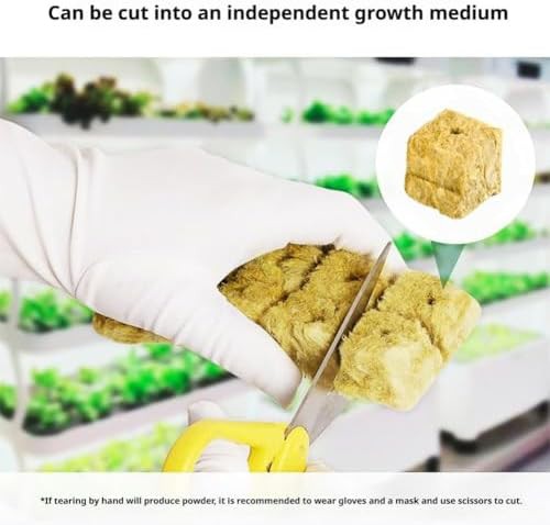 One inch rockwool cubes for propagation — photo 3