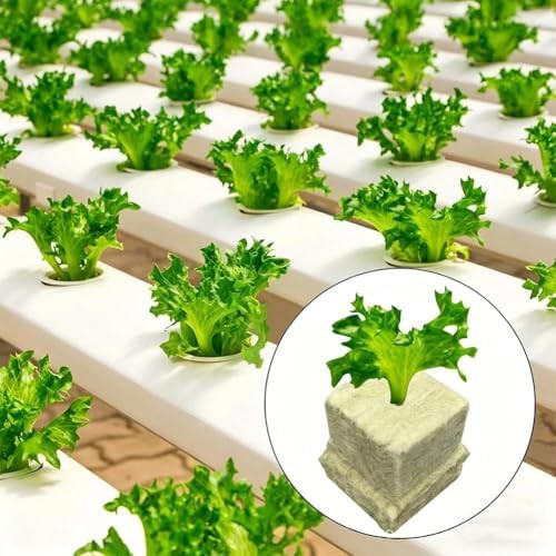 One inch rockwool cubes for propagation — photo 4
