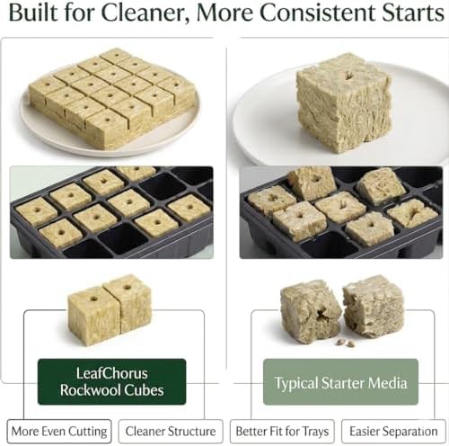 One inch rockwool cubes for cloning — photo 5