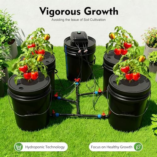 Five bucket deep water culture system — photo 3