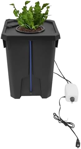 Single bucket DWC system with inspection cover