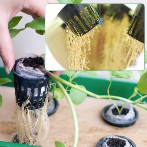 Heavy duty two inch net pots — photo 4