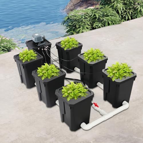 Seven bucket indoor deep water culture system — photo 4