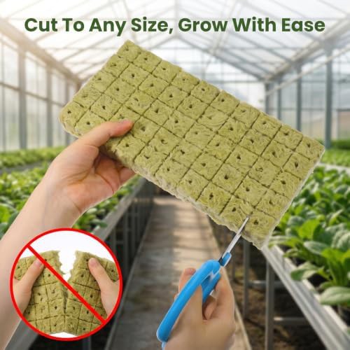 One inch rockwool cubes fifty pack — photo 4